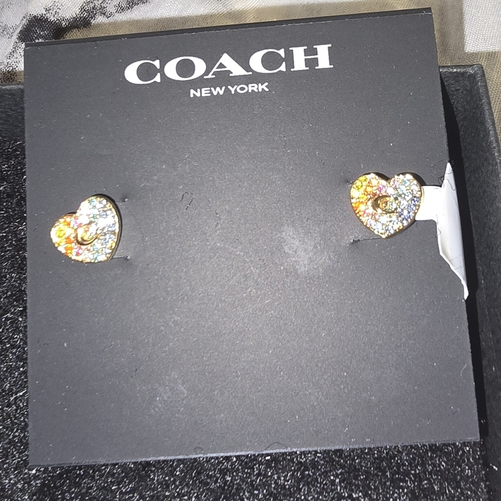 Coach earrings